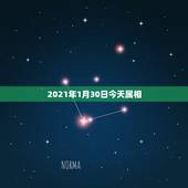 2021年1月30日今天属相，2021年今天属什么生肖？