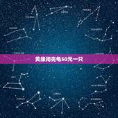 黄缘闭壳龟50元一只，一斤重的黄缘闭壳龟值多少钱？刚看到一只