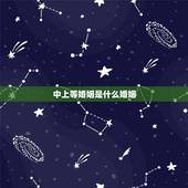 中上等婚姻是什么婚姻，“上等婚，中等婚，天衣婚姻”是什么意思啊？
