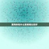 属狗的和什么配婚姻比较好，属狗与属什么婚姻相配？
