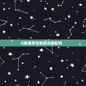 属兔男与属鸡女相配吗，兔鸡相冲的后果