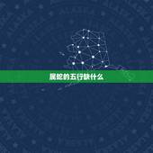 属蛇的五行缺什么，2001年属蛇的五行是什么