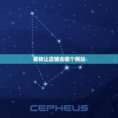 要转让店铺去哪个网站，我想转商铺，哪个网站转让最快
