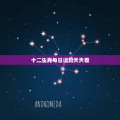 十二生肖每日运势天天看，光头说事十二生肖2023年10月29日每日运势