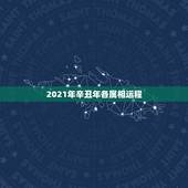 2021年辛丑年各属相运程，2021年生肖运势大全排名 运程详解