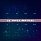 属羊1979年出生2022年什么运势，79年属羊人2021年全年运势