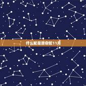 什么蛇是苦命蛇11月，属蛇男几月出生最富贵