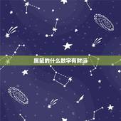属鼠的什么数字有财运，2022 鼠年男宝宝更佳取名