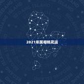 2021年属相桃花运，属龙2021感情和桃花运