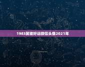 1983属猪好运微信头像2021年，属牛的微信头像用什么比较吉利啊？谢