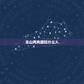 壬山丙向最旺什么人，什么是八运壬山丙向