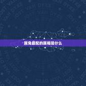 属兔最配的属相是什么，1999年属兔婚配