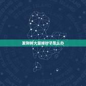 发财树大量掉叶子怎么办，最近几天发财树的叶子开始萎缩、变软、变黄，慢慢