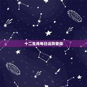十二生肖每日运势查询，十二属相运程