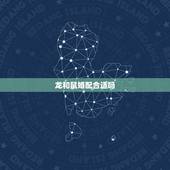 龙和鼠婚配合适吗，生肖龙和生肖鼠的婚姻运势