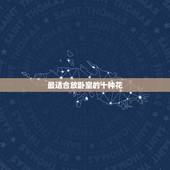 最适合放卧室的十种花，适合放在卧室中的花有哪些