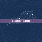 2021年是什么年属相，2021年是什么生肖年？