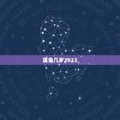 属兔几岁2022，属兔2022 年运势及运程