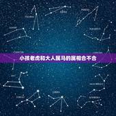 小孩老虎和大人属马的属相合不合，属虎和属马相不相克