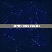 1987年今年虚岁多大2022，属羊的今年多大2022 年