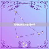 属兔和属猴的合得来吗，十二属相年龄查询表