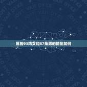 属相93鸡女和87兔男的婚配如何，87年属兔和93年属鸡的婚配表