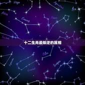 十二生肖最叛逆的属相，十二生肖最残忍的动物是什么？