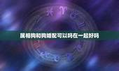 属相狗和狗婚配可以吗在一起好吗，属狗婚配和什么属相合适