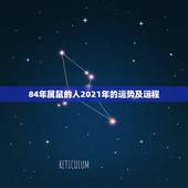 84年属鼠的人2021年的运势及运程，84鼠2021年运势及运程