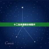 十二生肖酒瓶价格图片，哪位有沱牌十二生肖、道光十二金钗空酒瓶出售？多少