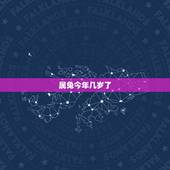 属兔今年几岁了，63年属兔今年运气如何