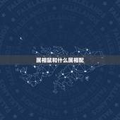 属相鼠和什么属相配，鼠和什么生肖相冲相克