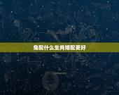 兔配什么生肖婚配更好，属兔2022 年运势及运程