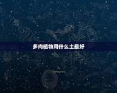 多肉植物用什么土最好，如何养多肉5如何选择合适的土