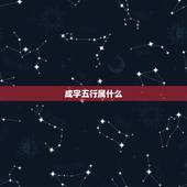 成字五行属什么，怎么查文字五行属相？