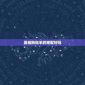 属相狗和羊的婚配好吗，属相婚配：男属龙和女属兔相配吗