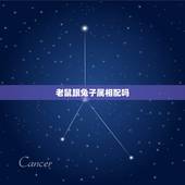 老鼠跟兔子属相配吗，1996鼠男和1999兔女