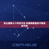 怎么查俩人八字合不合 夫妻俩属兔孩子属龙好不好