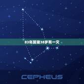 83年属猪38岁有一灾，1983年属猪生辰八字