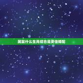属鼠什么生肖结合是更佳婚配，属鼠的更佳婚配属相