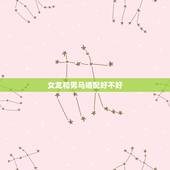 女龙和男马婚配好不好，女龙男马相配吗