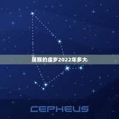 属猴的虚岁2022年多大，80年属猴女2022年运势