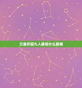 三亩农田九人耕是什么属相，三亩农田七人耕是什么生肖