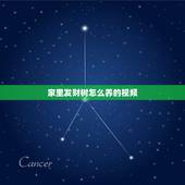 家里发财树怎么养的视频，怎么养发财树？