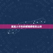 属龙人今年的婚姻感情怎么样，88年属龙男的婚姻感情怎样