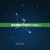 属羊的虚岁今年多大了2022，2023属羊