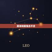 属龙和属兔合不合，属龙和属兔的婚姻怎样