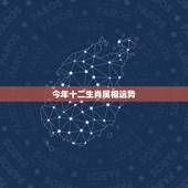 今年十二生肖属相运势，2017年生肖运势大全