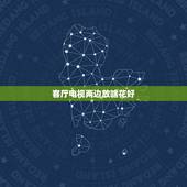 客厅电视两边放啥花好，风水，客厅电视墙两边挂什么画旺财