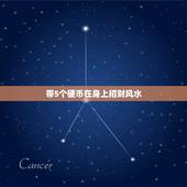 带5个硬币在身上招财风水，屋内西北角放一碗小米，小米里放五个硬币是什么